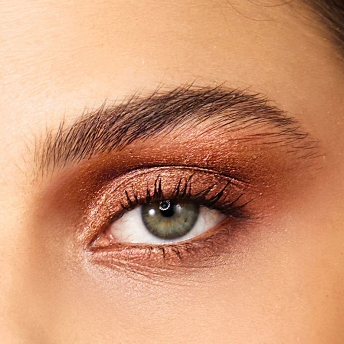 פלטת צלליות MIKI's BROWN